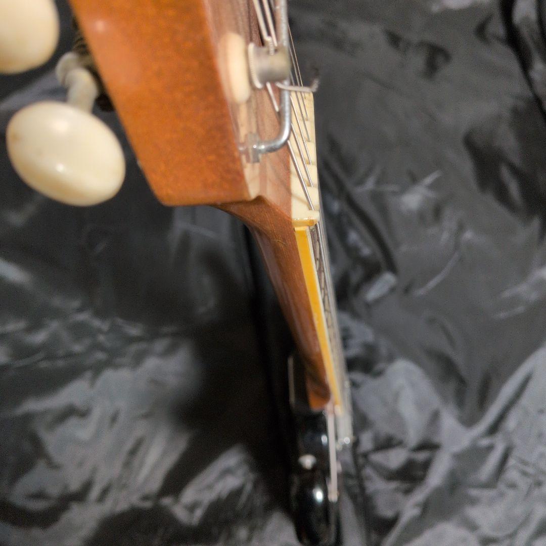 キングオブビザール！！ エレキギター☆テスコデルレイ！