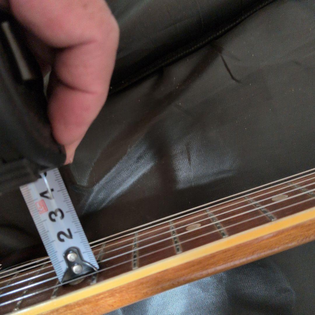 キングオブビザール！！ エレキギター☆テスコデルレイ！